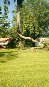 IMG_20150711_091358462