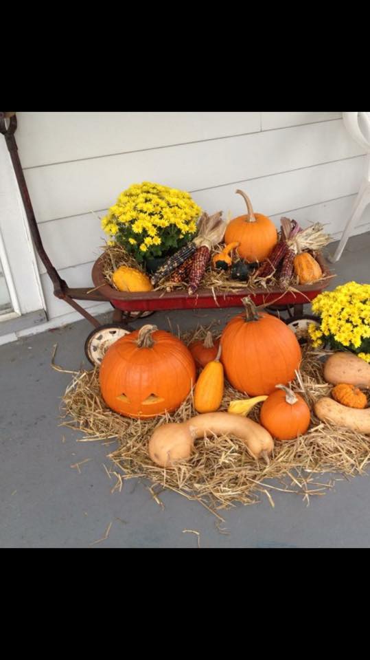 12310635_10153743182212432_5246738983047975170_n