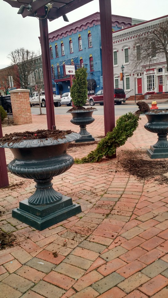 IMG_20160319_094350471_HDR