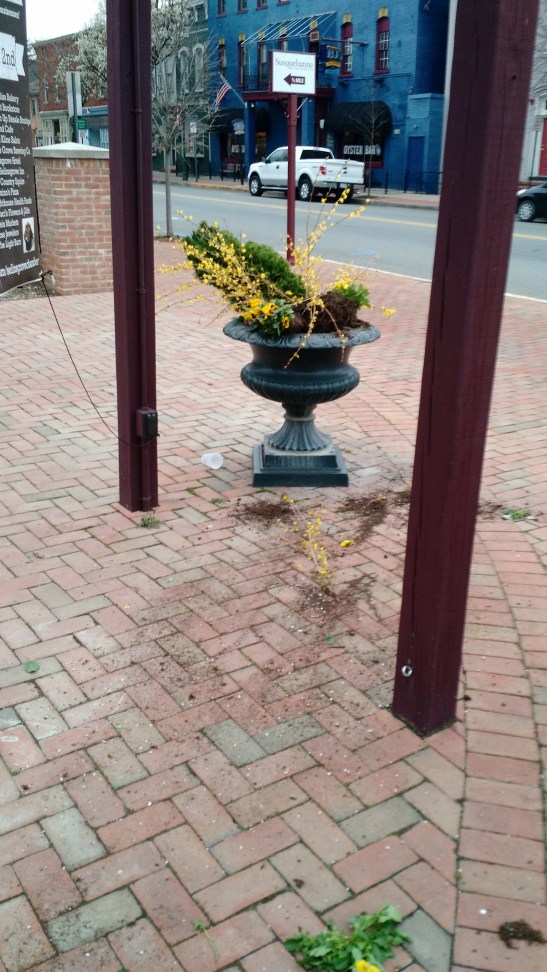 IMG_20160402_080138723