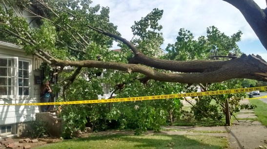 IMG_20160808_100155822_HDR