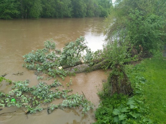 IMG_20170502_082802_resized_20170502_085021332