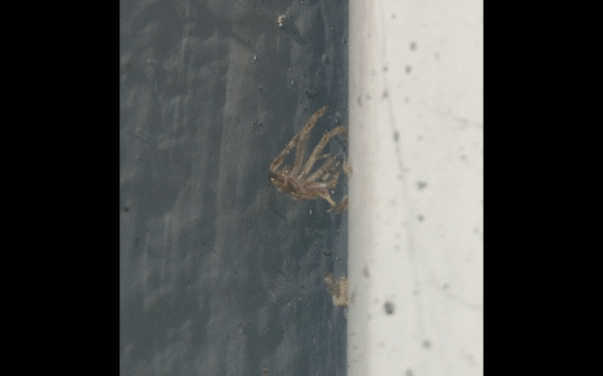 Screenshot_2017-08-24-09-48-30