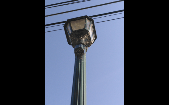 Screenshot_2017-08-24-09-59-38