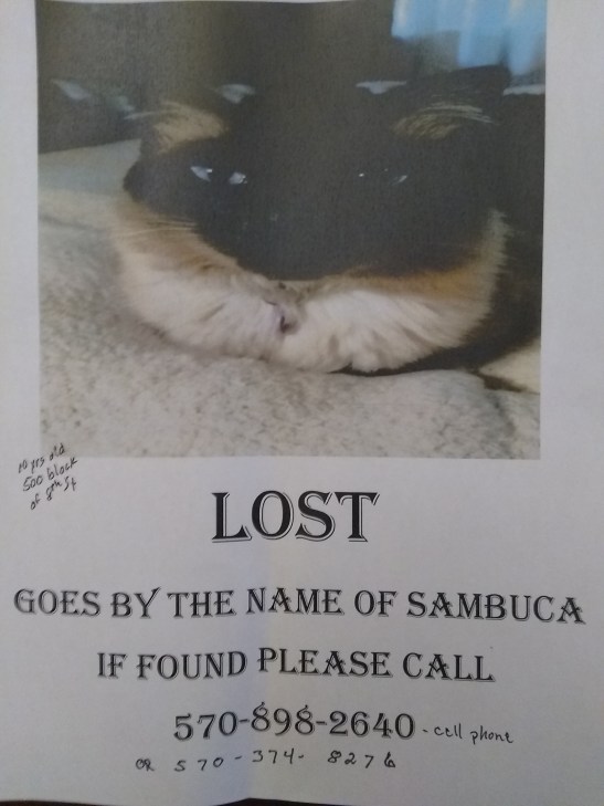 IMG_20181029_103651156